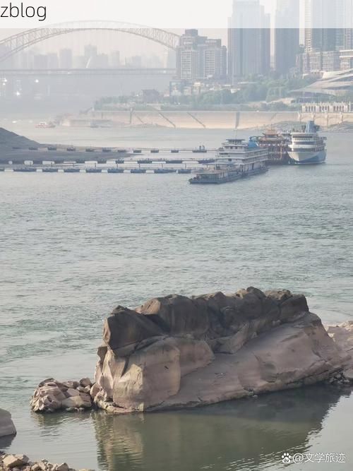 涪陵：长江之畔的防疫堡垒与隐匿风险