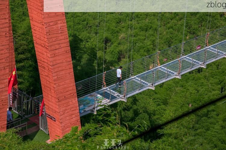 安吉：竹海屏障下的零感染坚守