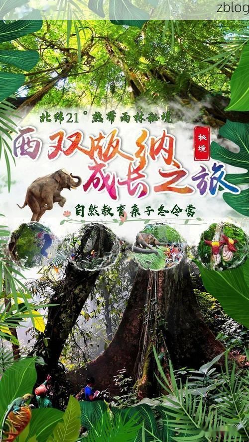 边境绿洲的防疫考卷：景洪热带雨林屏障下的防控逻辑