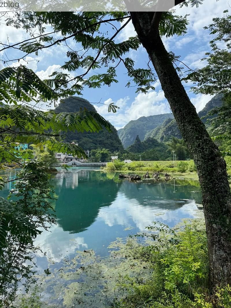 河池屏障：喀斯特地貌下的疫情低发区成因探析