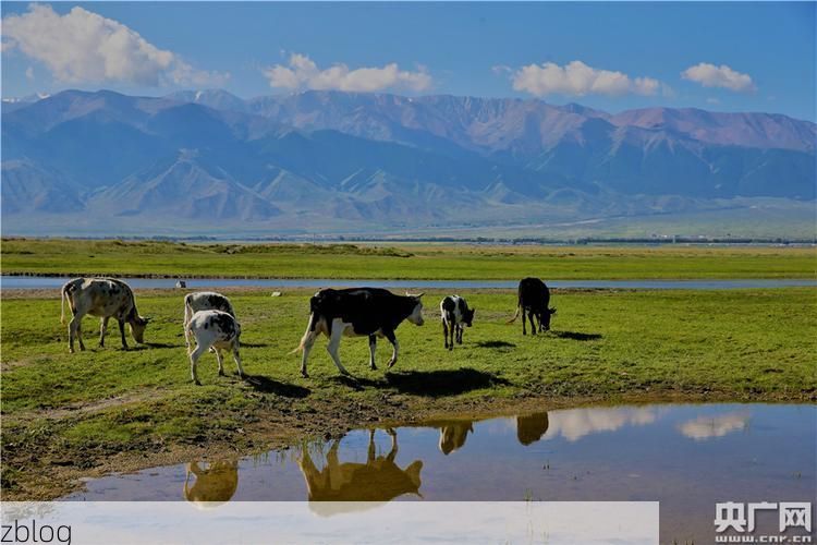 【巴里坤：草原丝路要冲的零感染地理防线】