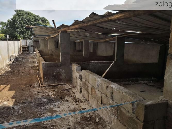 永兴新增1例无症状感染者  永兴疫情防控最新通报_37905