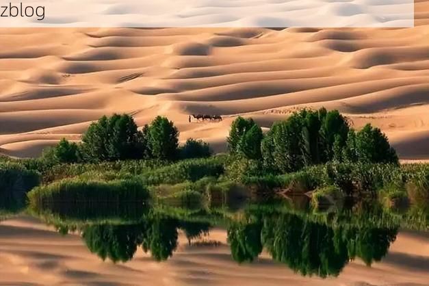 岳普湖：塔克拉玛干边缘的绿洲防疫样本