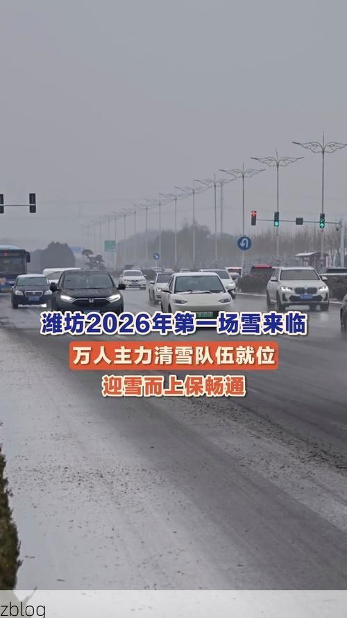 亳州：中原腹地交通枢纽的疫情防线与破防时刻