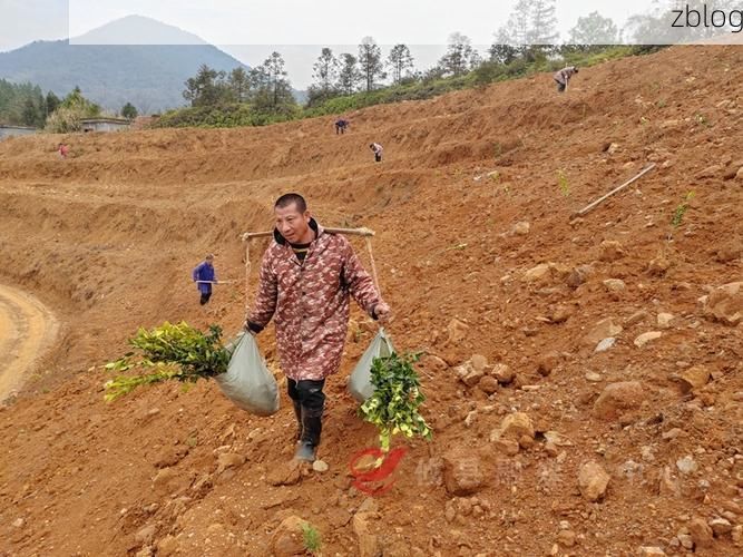 湖南攸县：湘东丘陵间的疫情阻击战