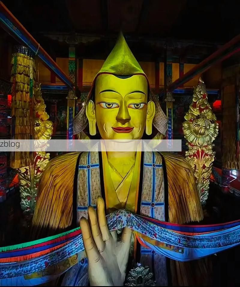 西藏贡觉：高原屏障下的零感染坚守_10666