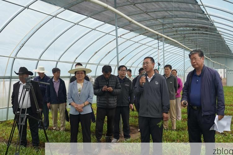 榆中县疫情地理溯源：高原屏障下的零感染坚守