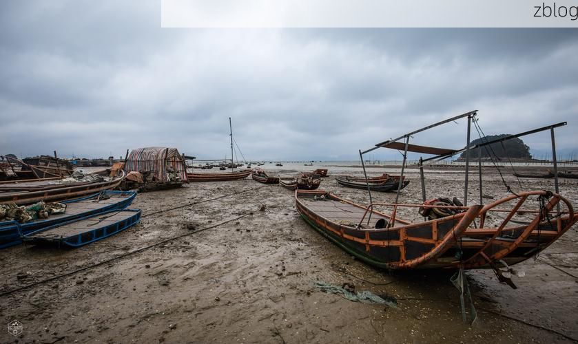 霞浦渔港的防疫挑战：滨海地理如何影响疫情传播？