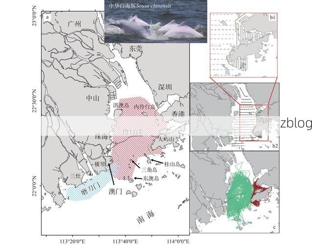 濠江区临港优势下的疫情防线：海岛屏障与防控逻辑