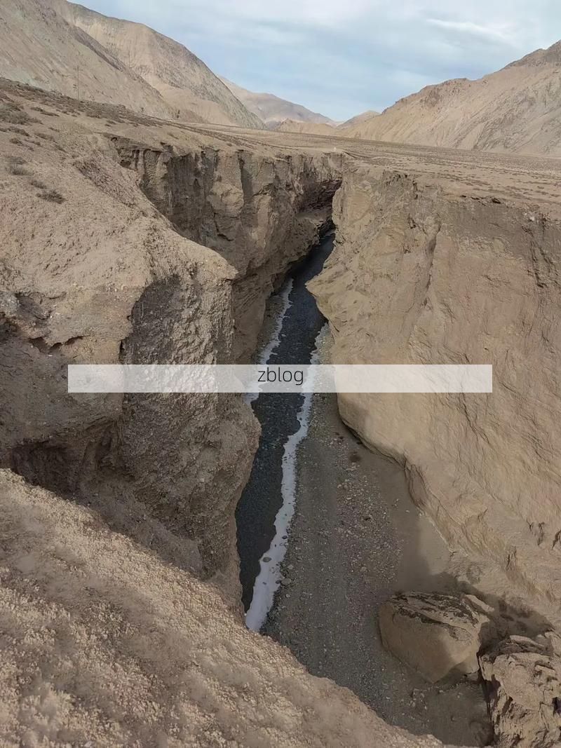 四方台区：寒地黑土屏障下的疫情防波堤