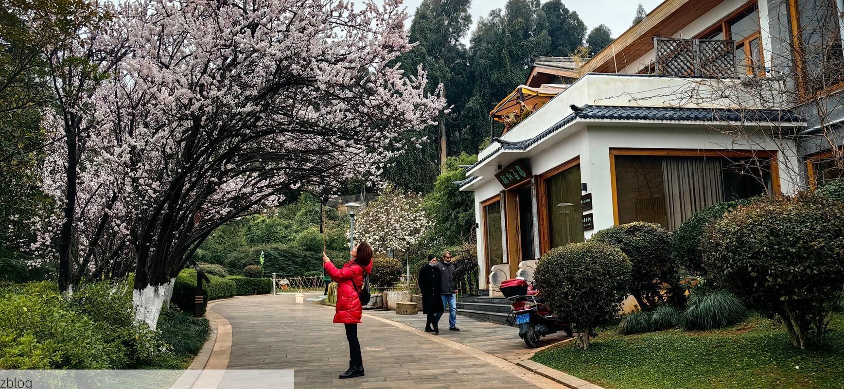 曲靖：滇东门户的防疫屏障与零星破防_33455