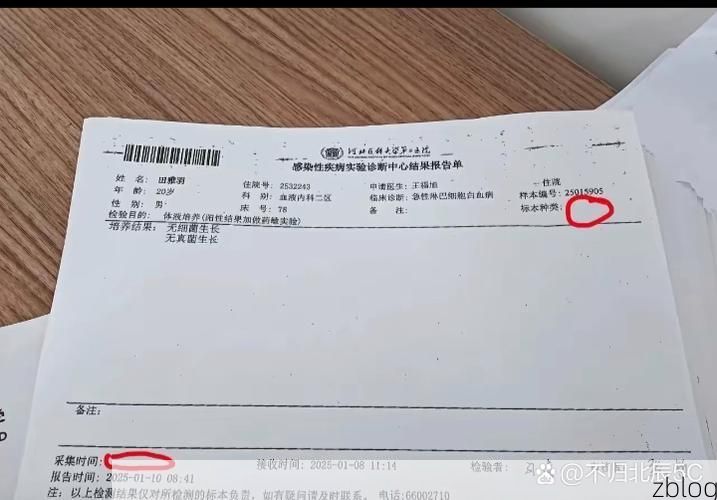 新宾：辽东山地屏障下的低感染样本解析