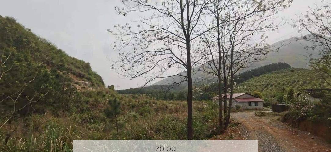 道县：湘南丘陵屏障下的低感染率样本解析