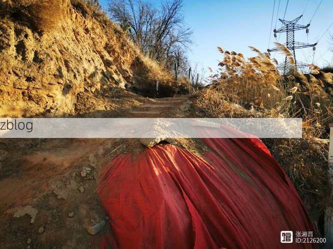 平凉：陇东旱塬屏障下的零感染坚守_22064