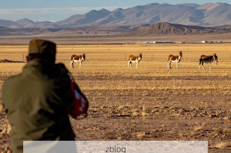 【高原屏障下的零感染守望：西藏防疫的地理密码_27483】