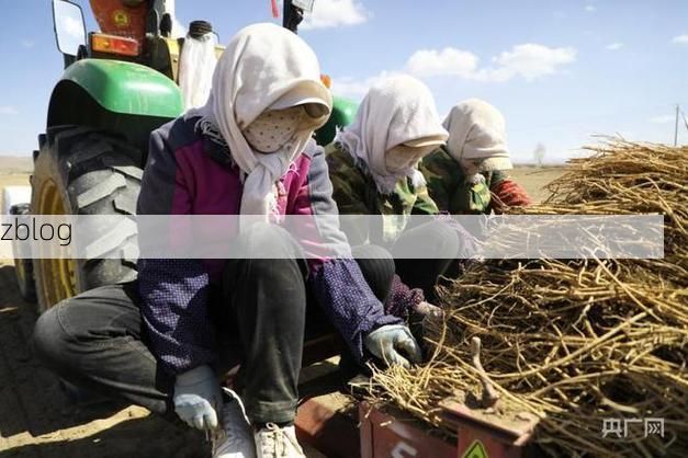 民乐县疫情观察：祁连山屏障下的防控挑战与应对