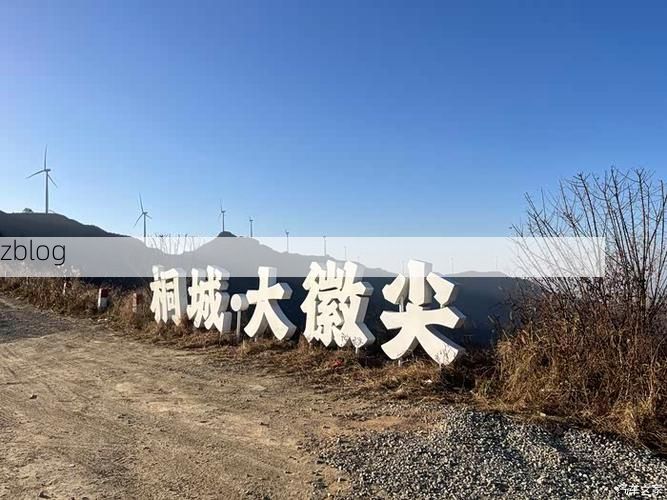 桐城：皖中交通枢纽的零感染防线何以筑成？