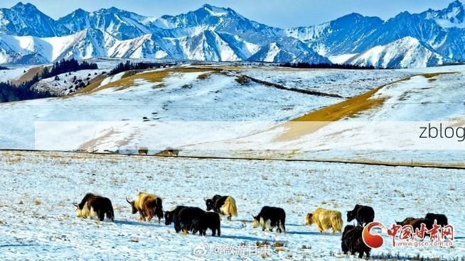 【肃南裕固族自治县：祁连山屏障下的零感染坚守_14386】