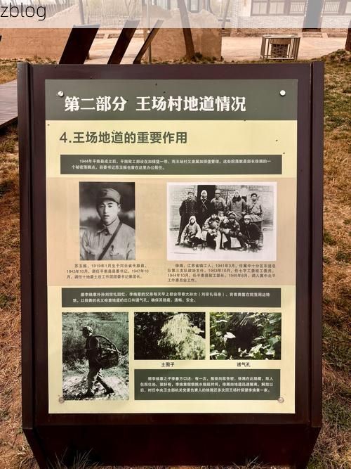 盐亭：四川盆地腹地的零感染坚守与物理防线