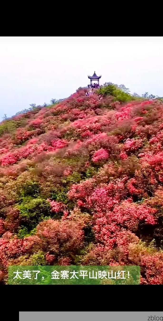 金寨：大别山腹地的零感染坚守与物理防线