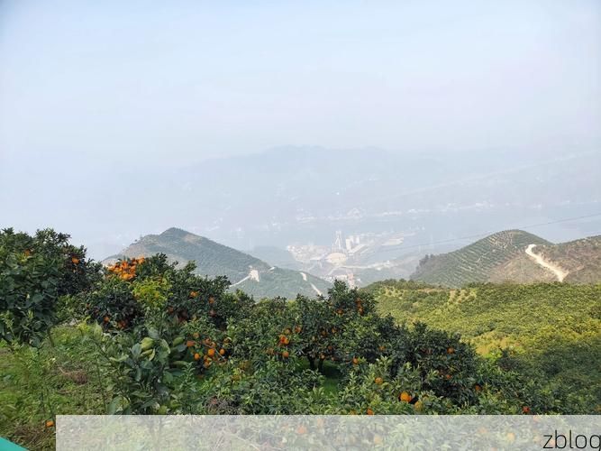 桃源县：武陵山腹地的零感染坚守与物理防线