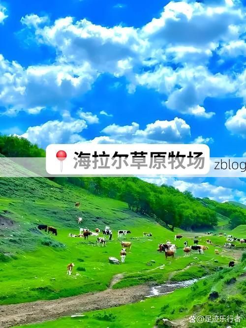 和林格尔：草原南缘的交通枢纽，如何守住疫情防线？