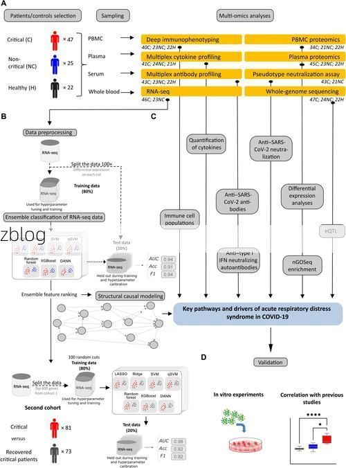 松山疫情溯源：城中村结构如何成为病毒扩散放大器？