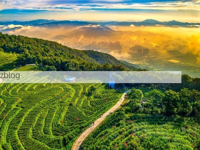 安溪茶乡的防疫考卷：丘陵地貌下的隐匿传播链_70872