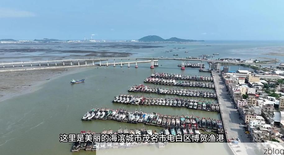 电白：滨海渔港的疫情防线与病毒突防