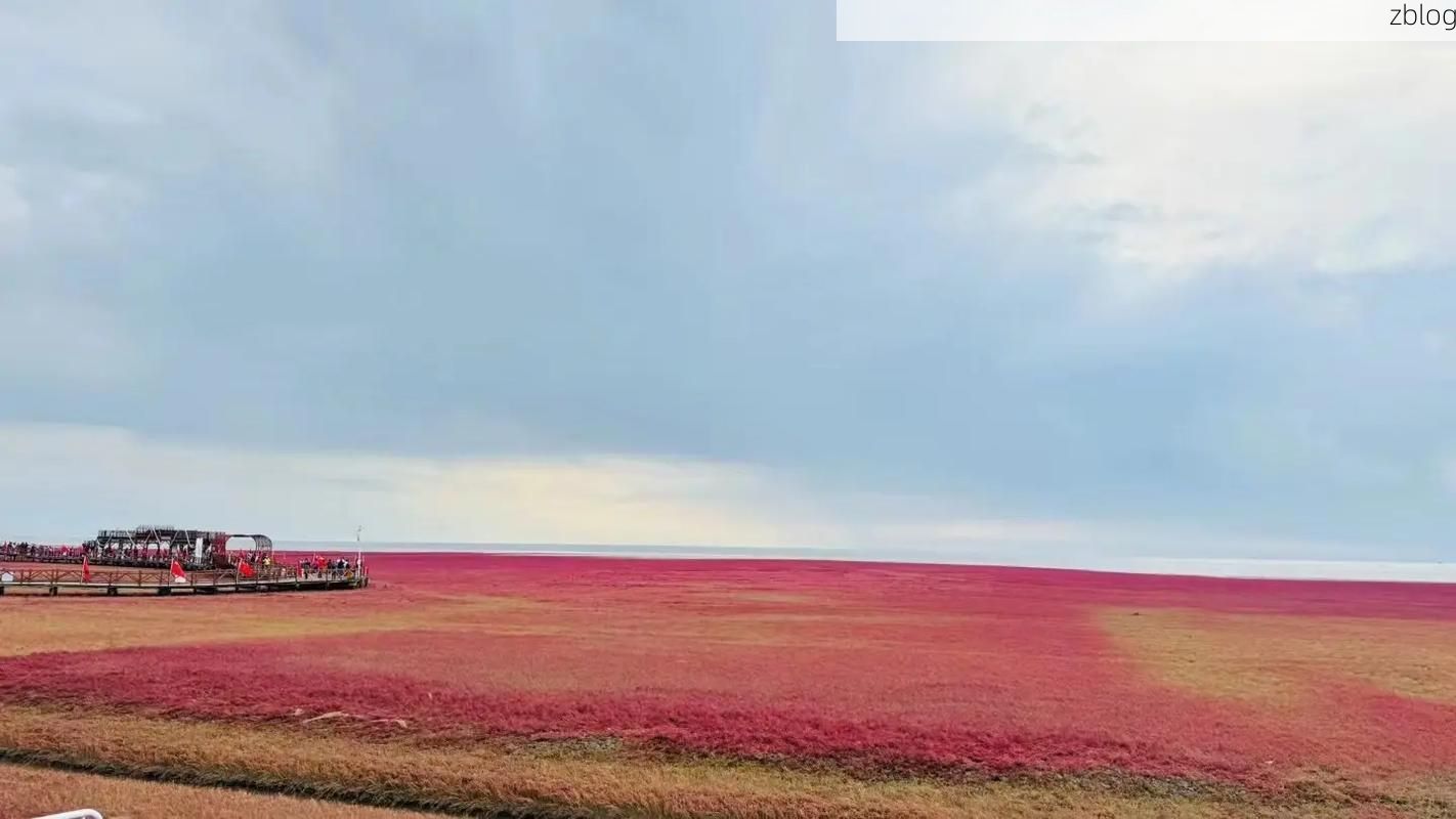 盘山县：辽河三角洲腹地的疫情防线与破防时刻