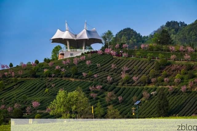 高原茶乡的零感染坚守：湄潭地理屏障下的防疫实践_16231
