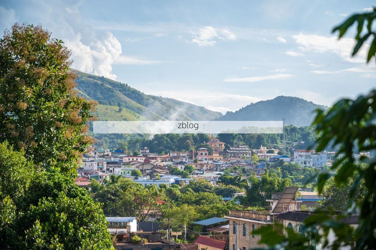 金平：边境小城的疫情防线与地理屏障_39595