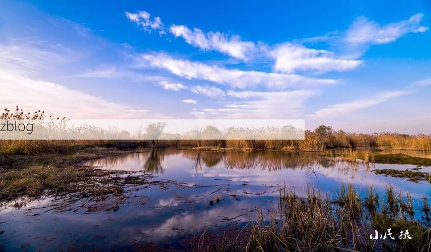 【三山区：长江之畔的疫情破防与地理屏障下的防控博弈】