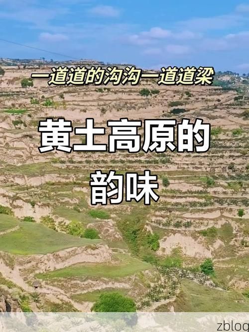 镇原县：黄土高原沟壑区如何构筑疫情防线？