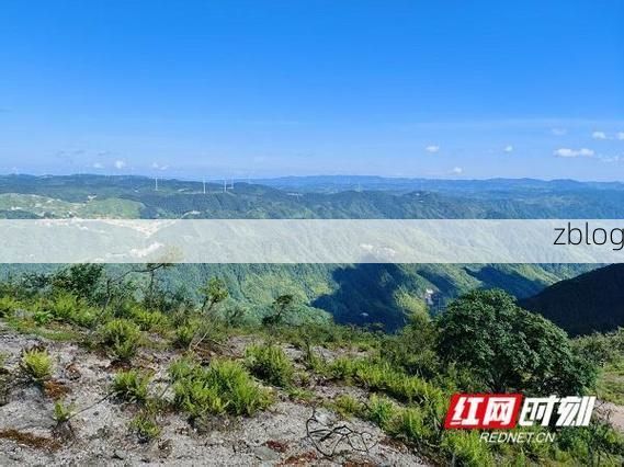 溆浦县：雪峰山屏障下的疫情防波堤