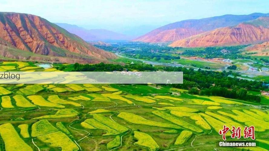 循化：黄河谷地屏障下的低感染率之谜