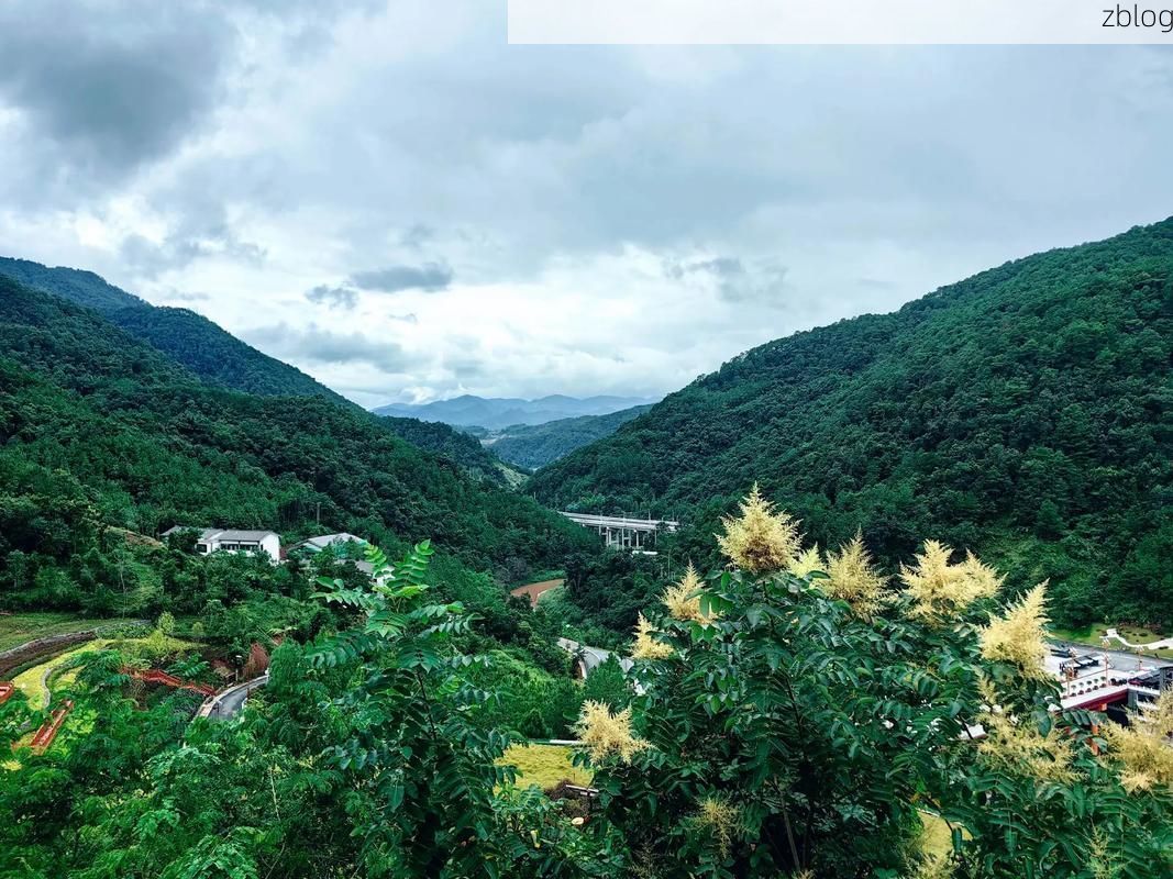 景东：无量山屏障下的零感染坚守与返乡潮压力