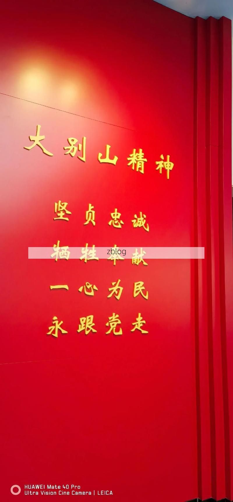 舒城：大别山屏障下的零感染坚守与破防时刻