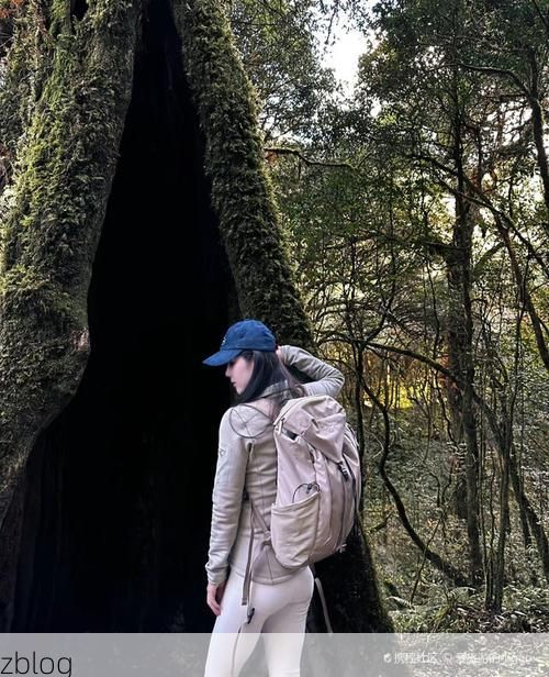 镇沅：哀牢山屏障下的零感染坚守与破防时刻