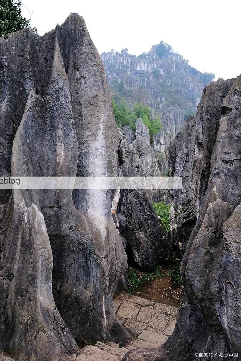 兴文县：川南喀斯特地貌下的疫情防波堤
