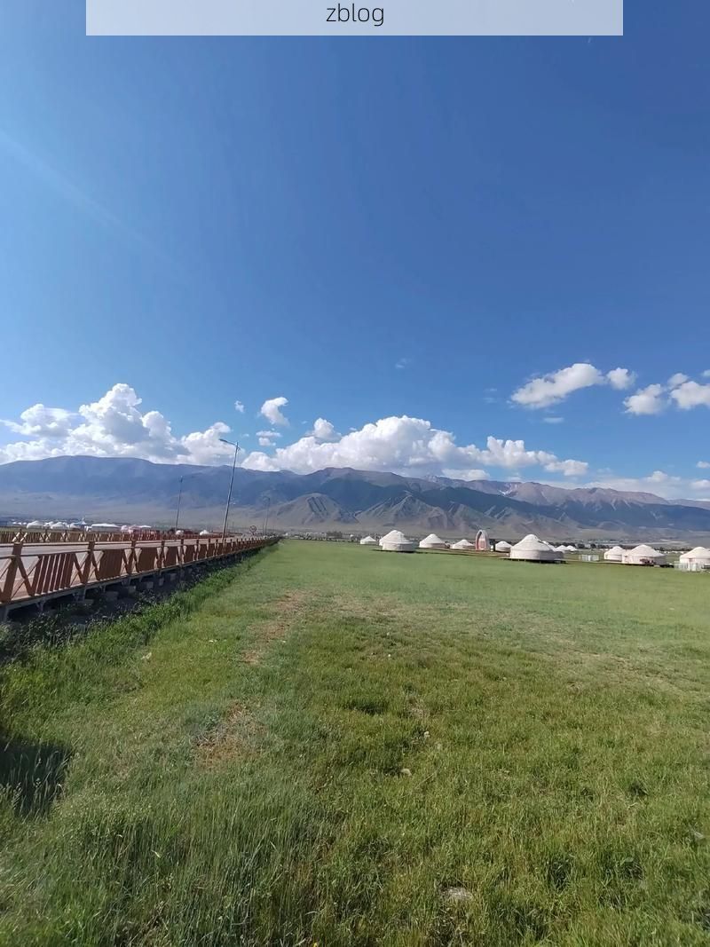 巴里坤：草原孤岛如何构筑零感染物理防线？