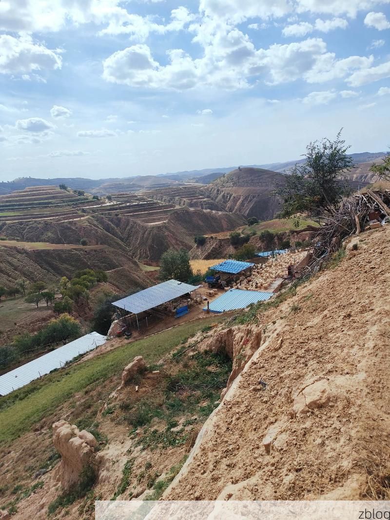 陇县疫情观察：黄土台塬地理屏障下的防控实践