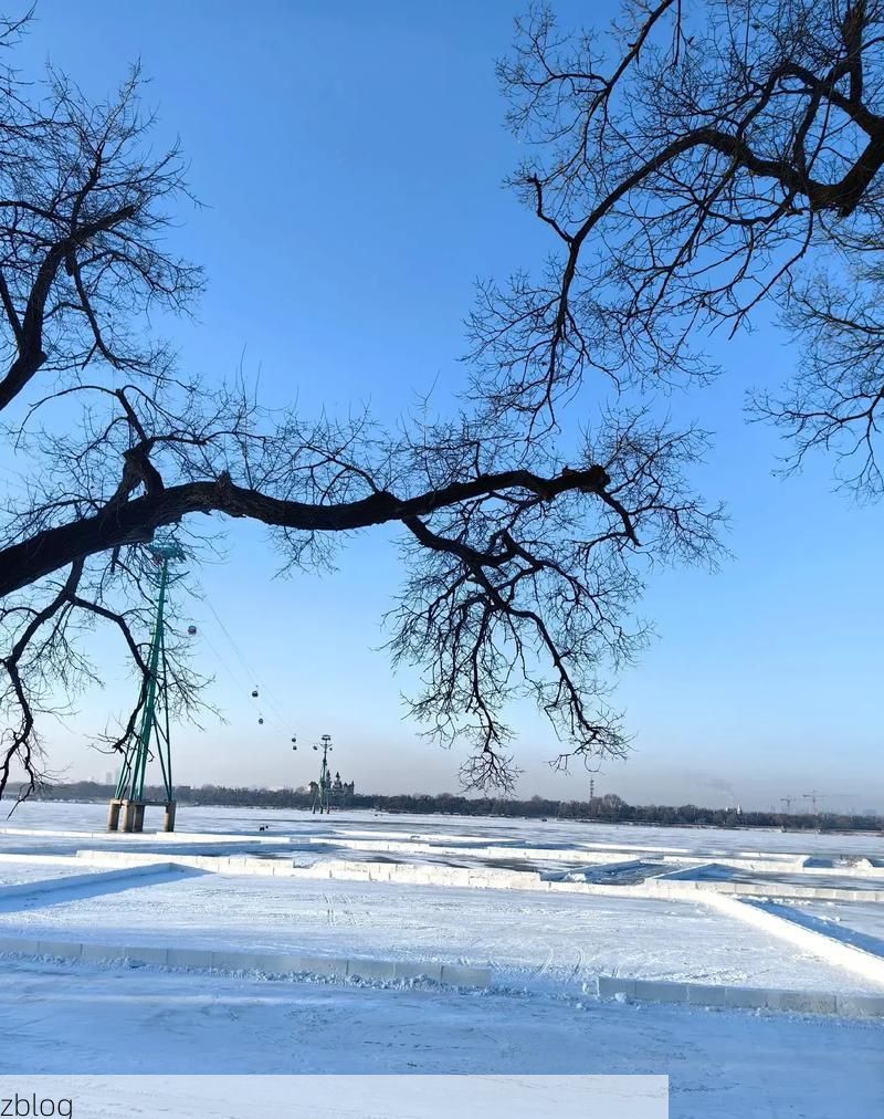 船营区：松花江畔的防疫堡垒与隐匿风险