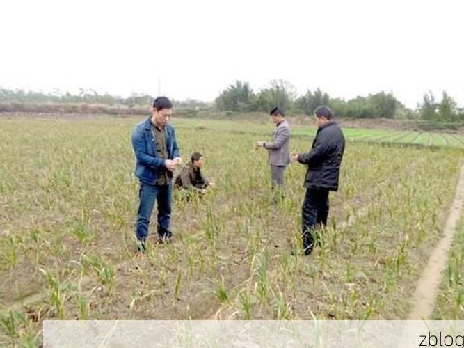 惠来县：南海之滨的防疫地理样本