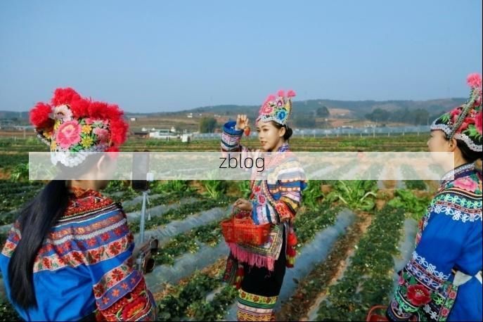 宁乡：湘中丘陵地形下的疫情传播与防控