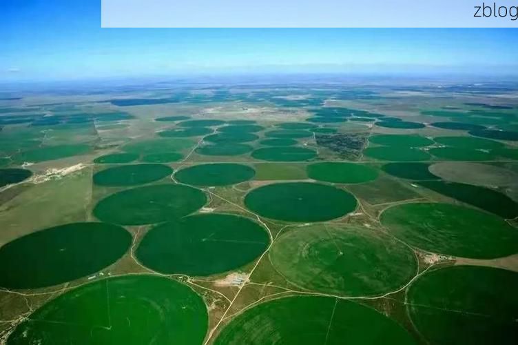 阿鲁科尔沁旗：草原屏障下的低感染样本解析