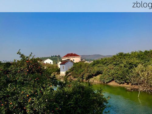 海盐县：杭州湾北岸的防疫地理屏障与社区破防样本