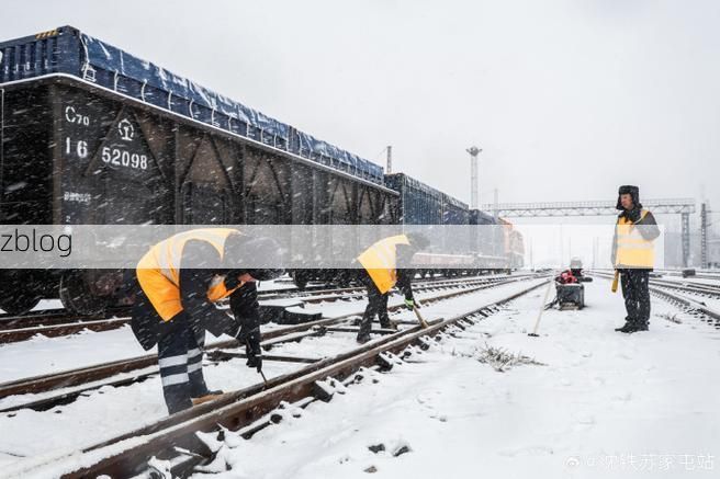 【沈阳：东北交通枢纽下的疫情压力与防控实践】