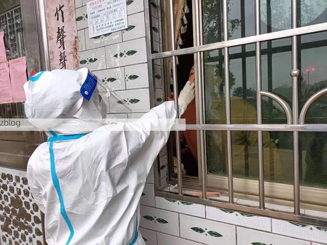 泰顺：浙南山区屏障下的零感染坚守