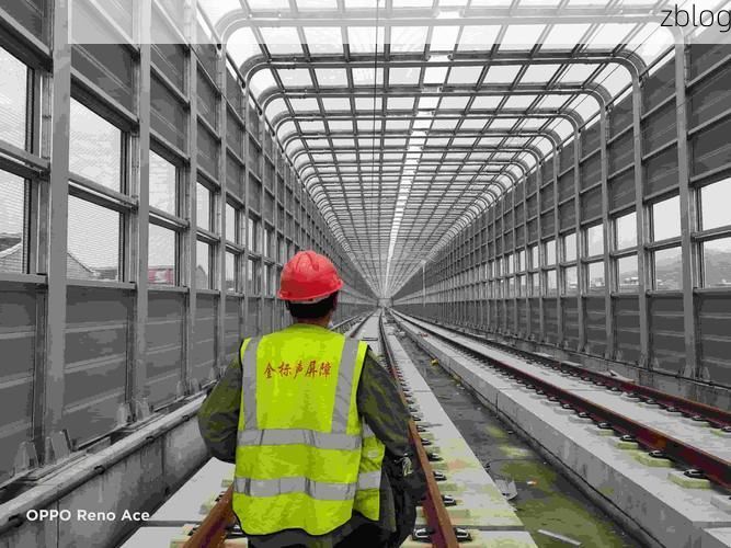 郯城银杏屏障下的疫情破防：鲁南交通枢纽的防控压力测试